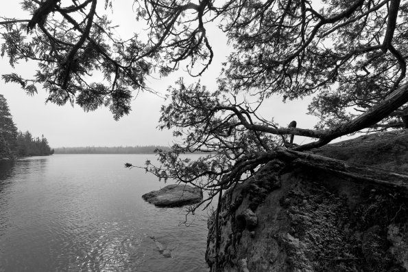 Oyster Lake