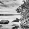 Oyster Lake