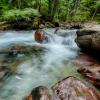 Avalanche Creek