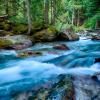 Avalanche Creek