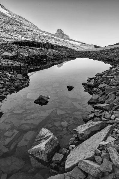 Pond