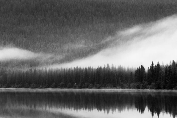 Early Morning Fog