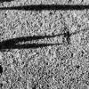 Shadows and Driftwood