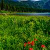 Morningstar Lake
