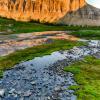 Logan Pass