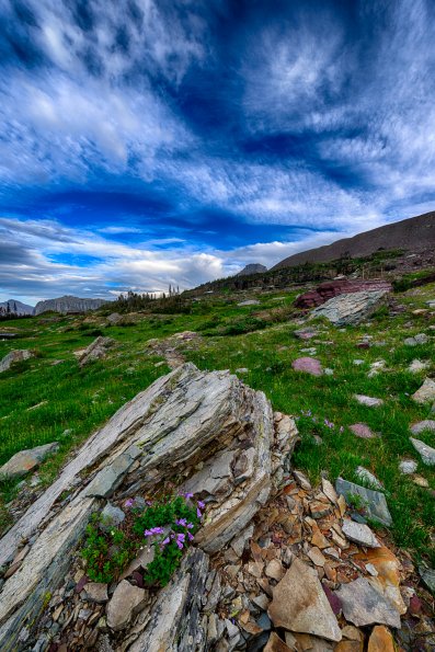 Mount Oberlin Trail