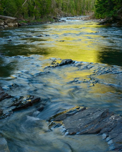 Golden Light