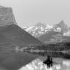 Wild Goose Island