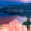 Wild Goose Island