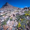 Flinsch Peak