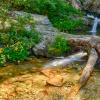 Aster Falls
