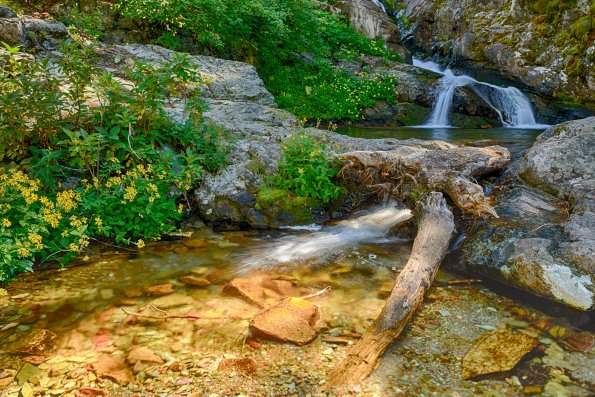 Aster Falls