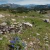 Columbine Pass