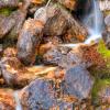 Skalkaho Falls