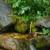 Cascade