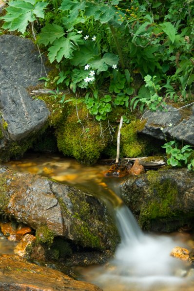 Cascade