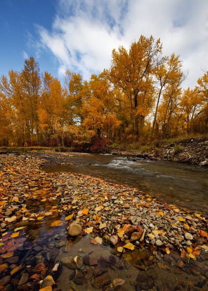 West Fork Lolo Creek