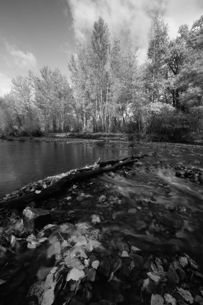 West Fork Lolo Creek