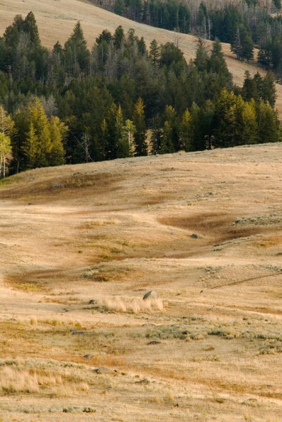 Sepcimen Ridge