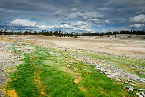 Norris Geyser Basin