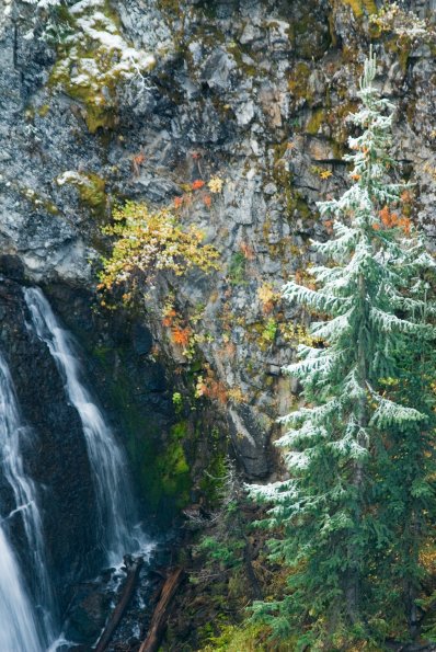 Kepler Cascades