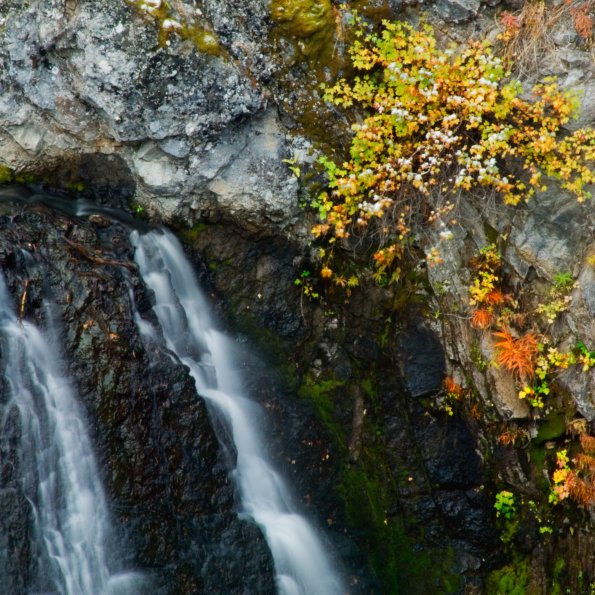 Kepler Cascades