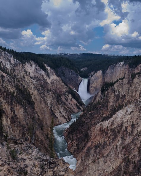 Yellowstone Falls