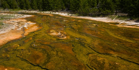 Midway Geyser Basin