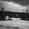 Norris Geyser Basin