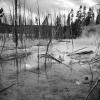 Norris Geyser Basin