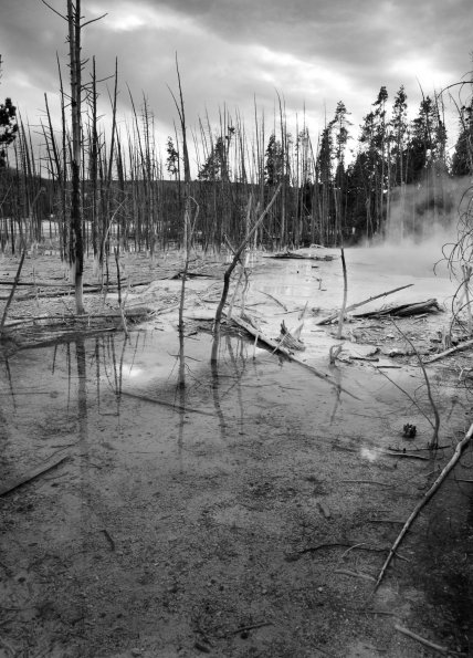 Norris Geyser Basin