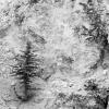 Yellowstone Canyon