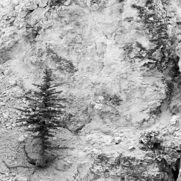 Yellowstone Canyon