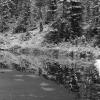Craig Pass
