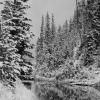Craig Pass