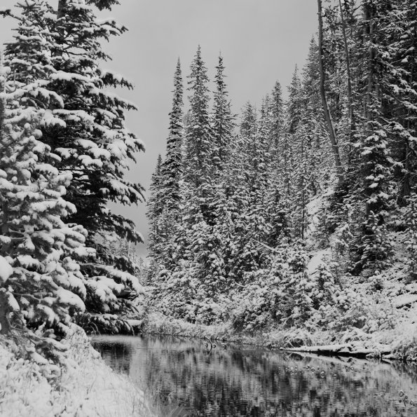 Craig Pass
