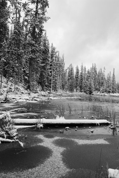 Craig Pass