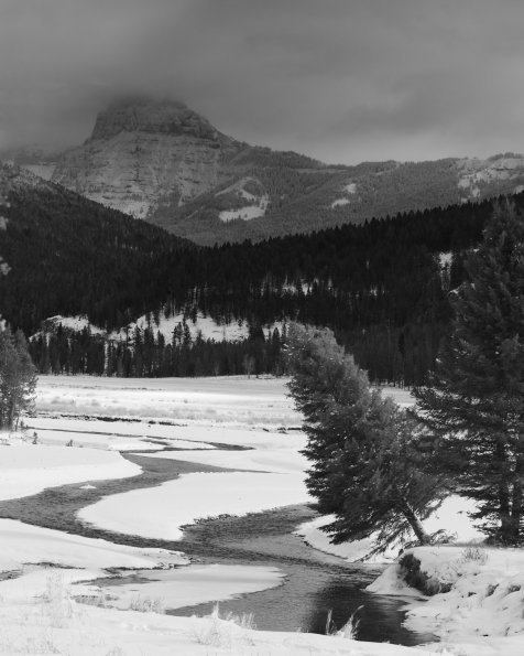 Soda Butte Creek