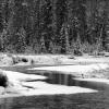 Soda Butte Creek