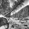 Lamar Canyon