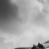 Mammoth Hot Springs