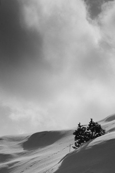 Mammoth Hot Springs
