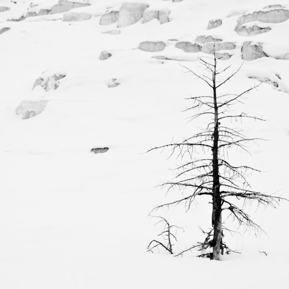 Mammoth Hot Springs