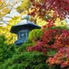 Japanese Tea Garden 2013