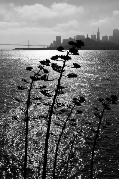 San Francisco and the Bay Bridge