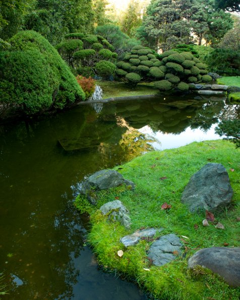 Pond