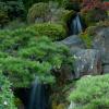 Waterfalls