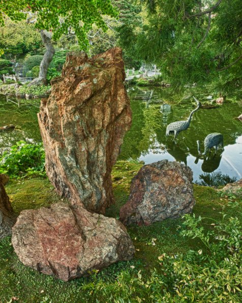Pond and Rocks