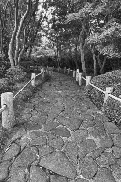 Cobblestone Path