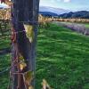 Travel Gallieries